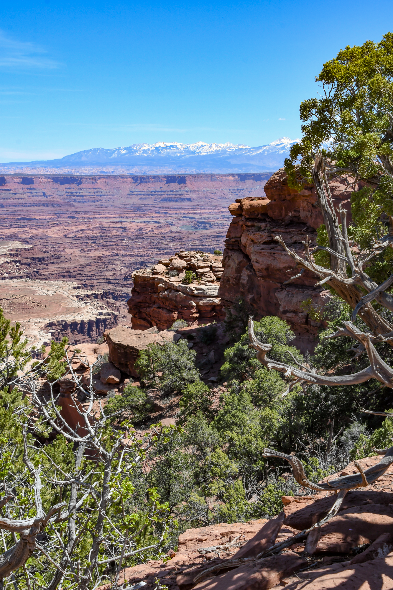 Canyonlands 11