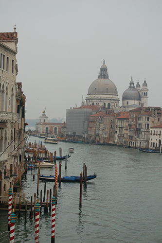 Venice Web 22